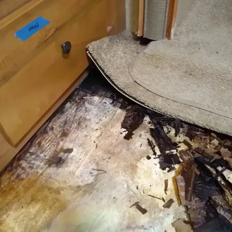 Best Wood Floor Water Damage Service in Bend, OR